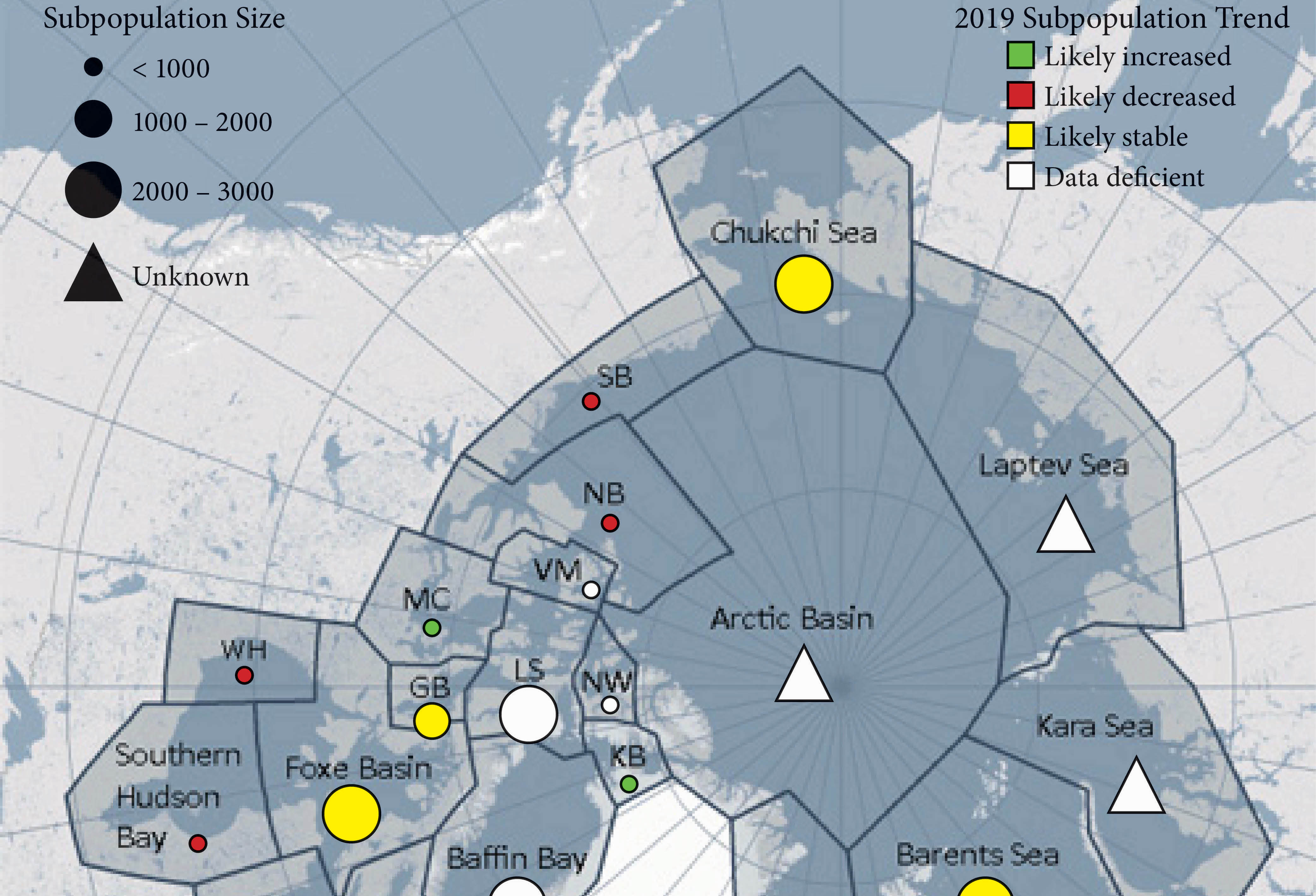 the-global-polar-bear-population-is-threatened-by-loss-of-sea-ice